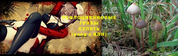 мяу мяу мука Белоозёрский